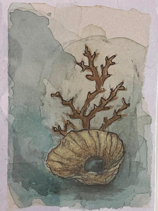 Collected by the Tide — ACEO Small ACEO mixed-media painting depicting a weathered shell with branching coral against soft blue-green washes.