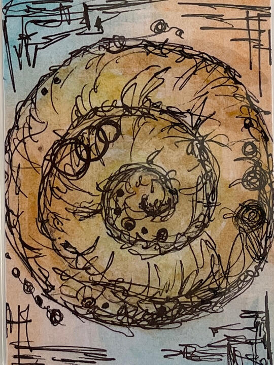Small ACEO mixed-media painting depicting a spiral shell rendered with loose ink lines and warm earth tones.